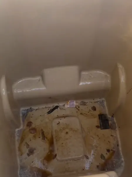 Tan trash bin, before